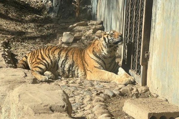 2024年一、新乡五龙山野生动物园